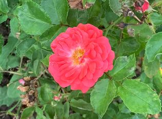 19015 Butterbaugh Ford Rd, Sedalia, MO 65301