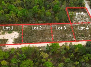 220th Path LOT 1/2, O'Brien, FL 32071