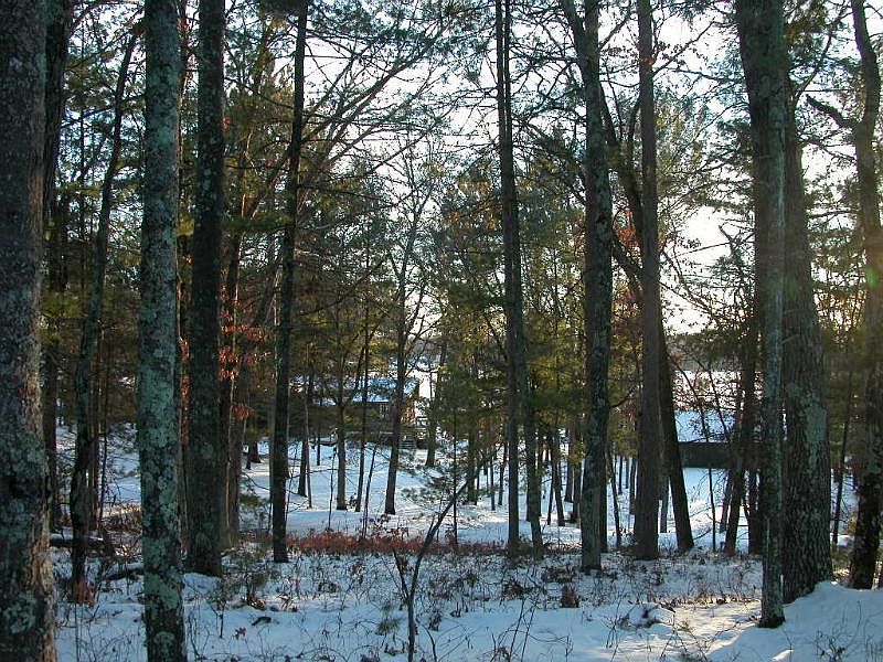 2nd image of 28536 Bonner Lake Rd