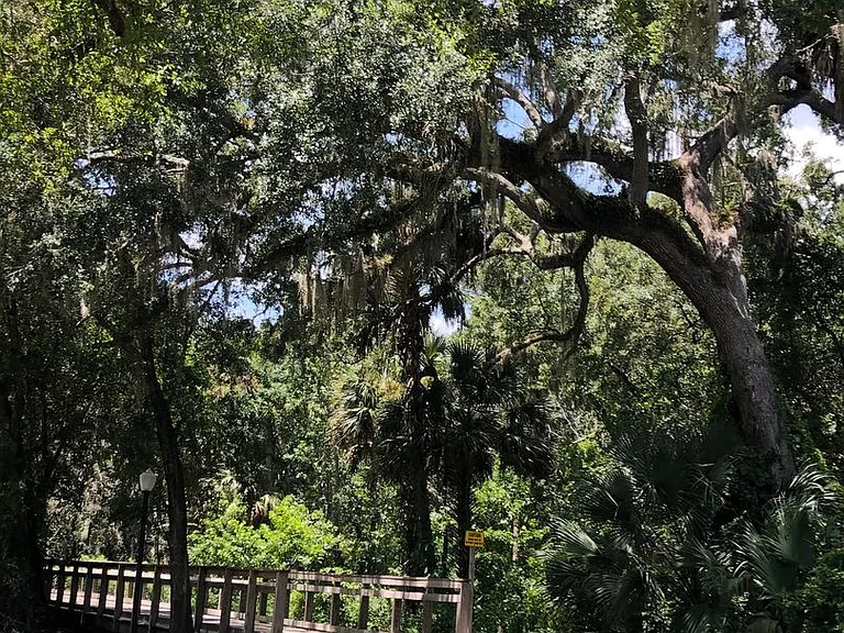 170 Palmetto Woods Ct #3C — Photo 22
