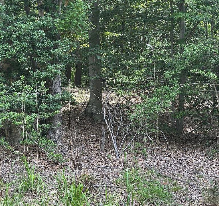 2nd image of LOT 141 Lands End Dr
