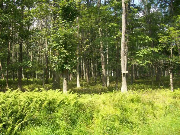 LOT 44 Oakenshield Dr, Tamiment, PA 18371