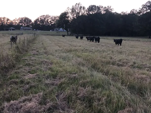 19990 Highway 50 W, West Point, MS 39773