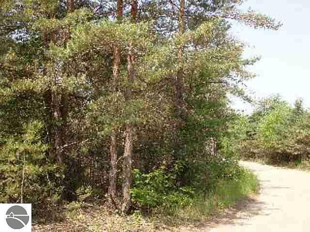 2nd image of Langs Ln