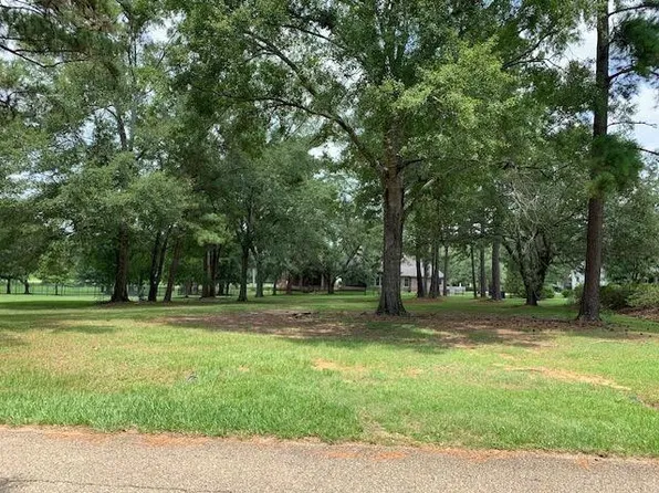 110 Chinawood Dr, Abita Springs, LA 70420