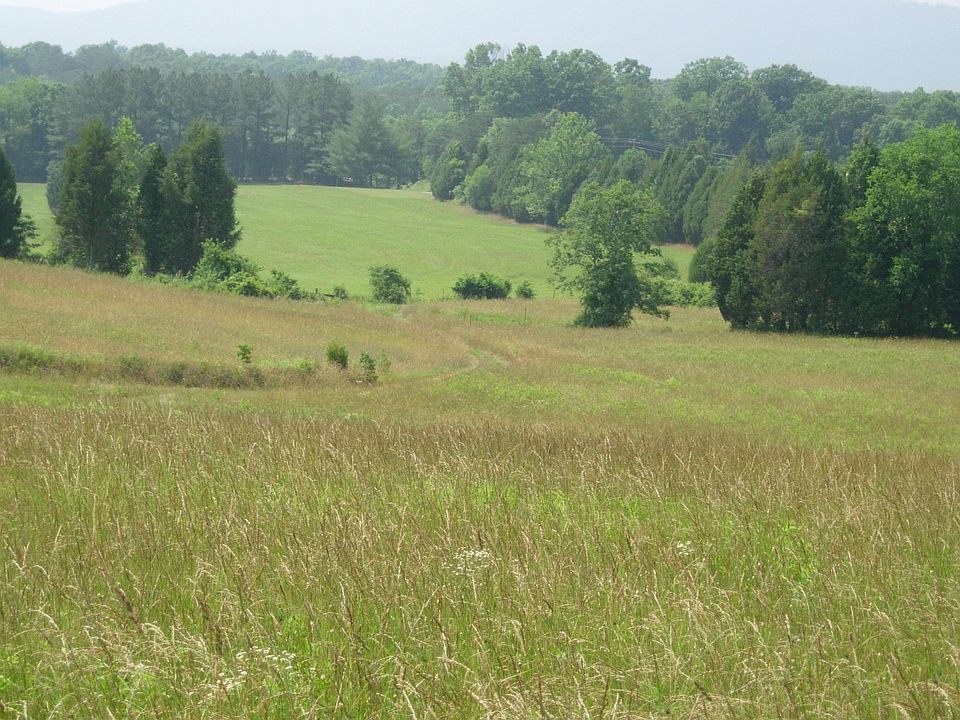 84 acres with springs close to Charlottesville