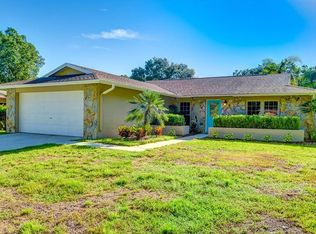 226 Ball Park Ave, Seffner, FL 33584