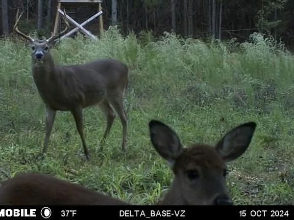 3rd image of Okeewemee Rd