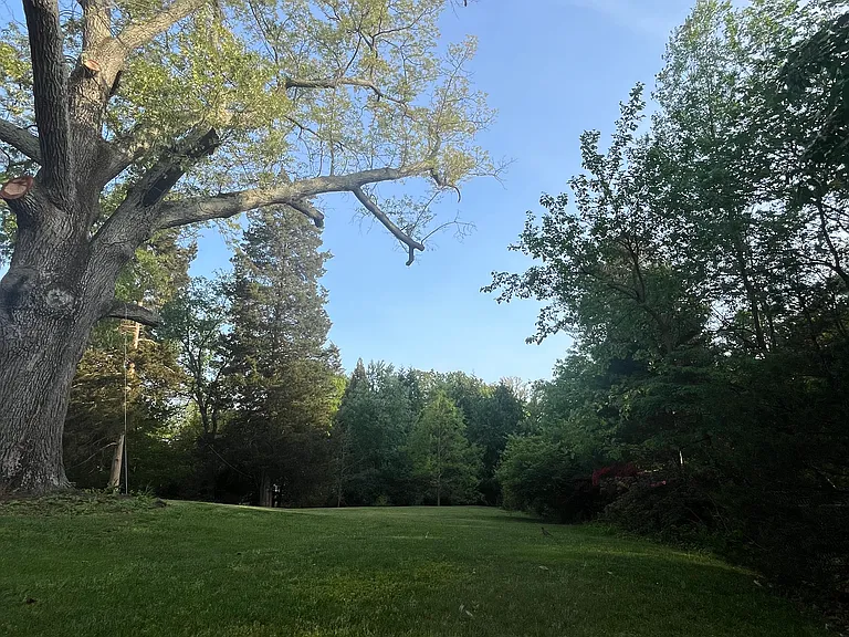 view of the back yard - as looking toward the front