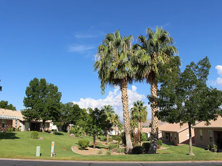 210 N Mall Dr — Photo 24