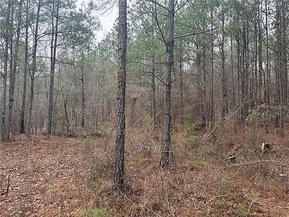 3rd image of (Undisclosed Address)