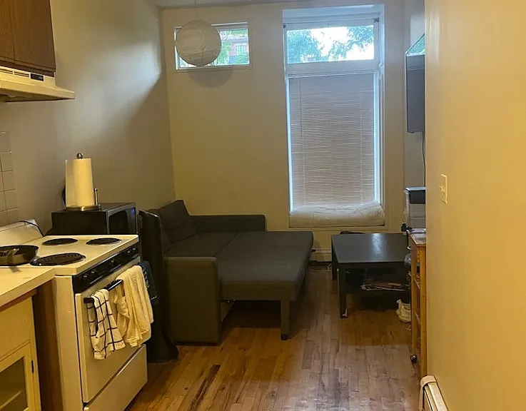 447 Hicks St #1A — Photo 3