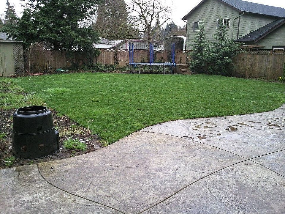 Looking out at backyard