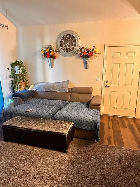 1181 Whitney Ranch Pkwy Unit 733 photo 1