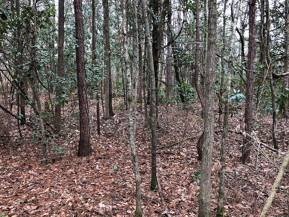 2nd image of Petrie Rd