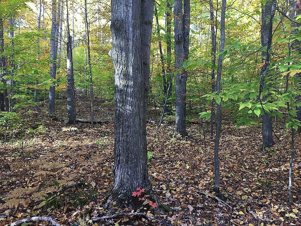 1st image of 3104 Deer Trl