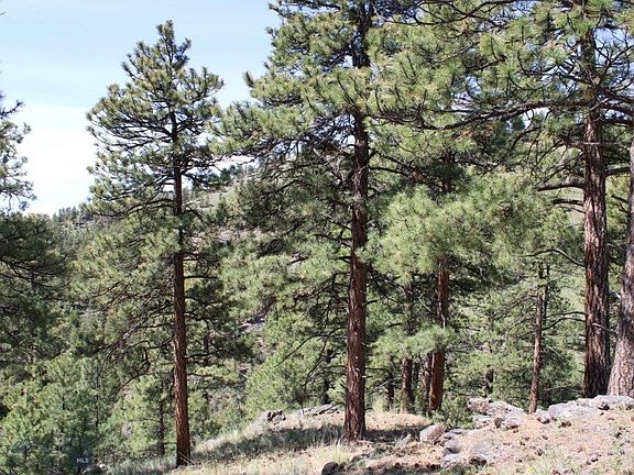 5th image of 6 Pine Coulee Ln