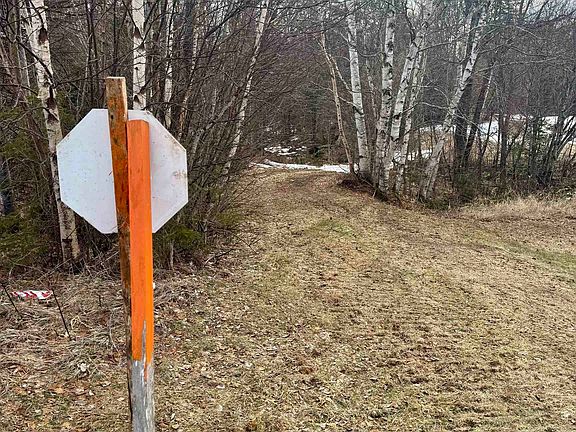 5th image of 85 Forbes Hill Road