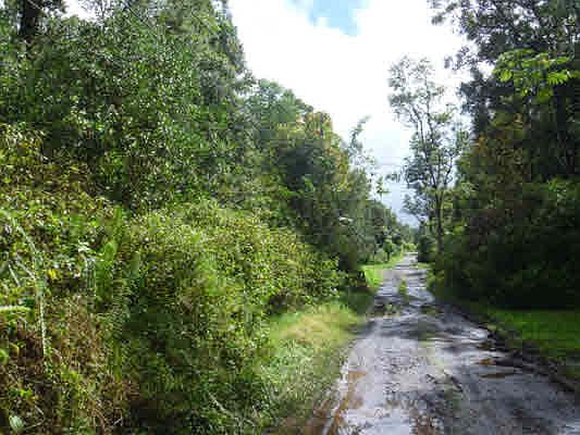 4th image of Road 7 Opeapea Lot 4758