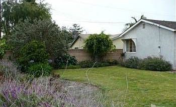 Large well-landscaped back yard