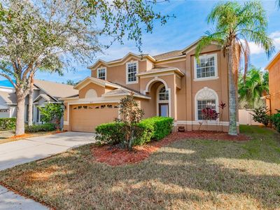 10637 Liberty Bell Dr, Tampa, FL, 33647