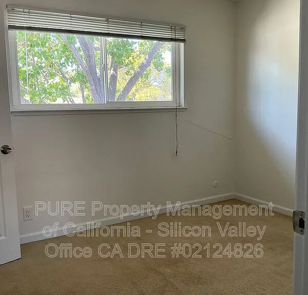 831 Pomeroy Ave #4 — Photo 25