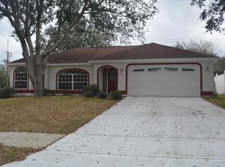 4205 Amber Ridge Ln, Valrico, FL 33594