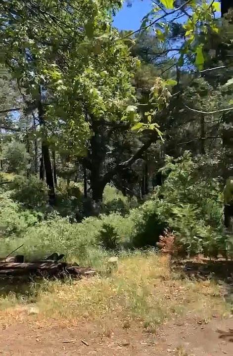 2nd image of 0 Burnt Creek Canyon Rd