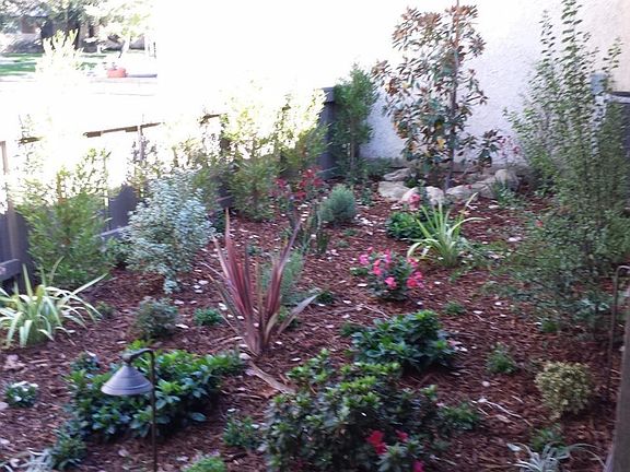 5th image of 2635 Lakewood Pl