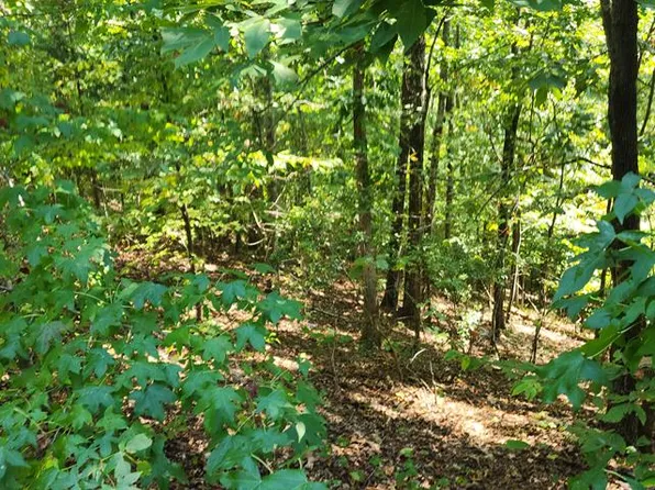 0 Kinnaird Access Rd, Camden, TN 38320