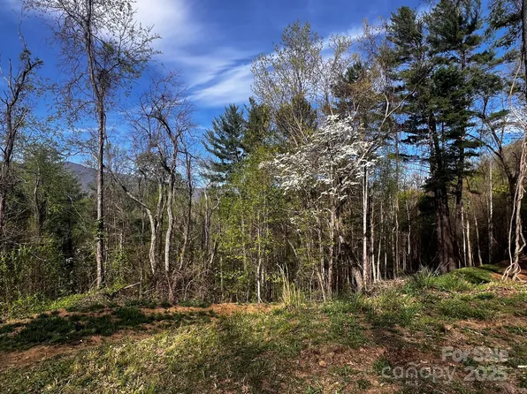 0 Little Creek Dr #5A, Canton, NC 28716