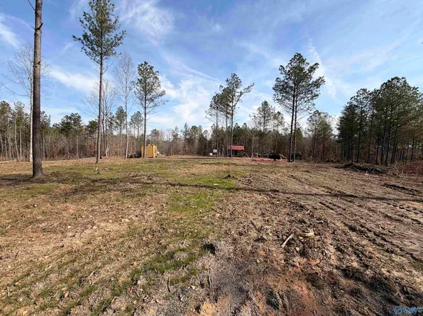 LOT 5 County Road 79, Danville, AL 35619