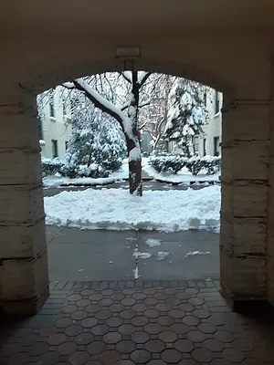 Rented by Tree House Realty of Queens Corp | media 8