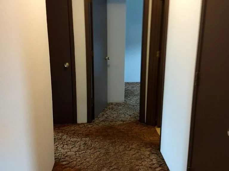 3009 Mimosa Dr #1-4 — Photo 7