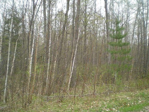 3rd image of Reagan Ln