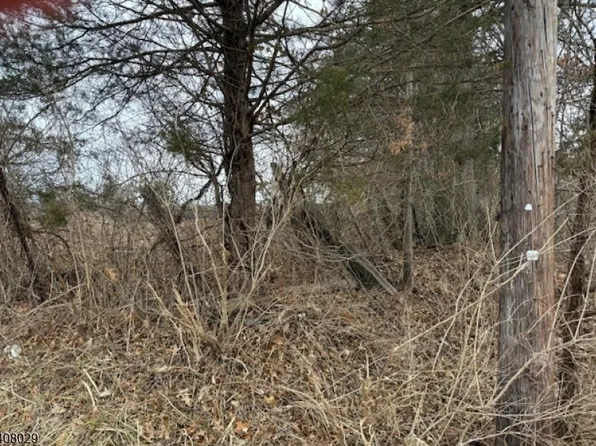 23 Coddington Road, Readington Twp., NJ 08889