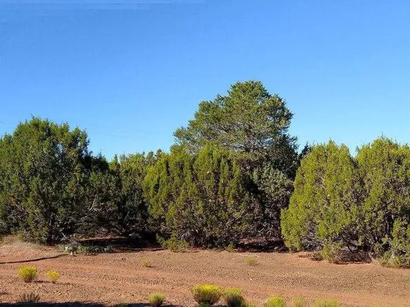 71 Country Rd N8148  Parcel 4 -- #2, Show Low, AZ 85901