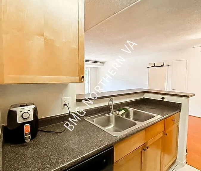 60 S Van Dorn St #309 — Photo 14