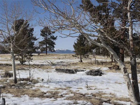 96 Baler Court LOT 893, Hartsel, CO 80449
