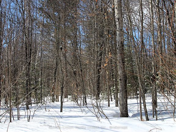 5th image of 0 Alsace Rd