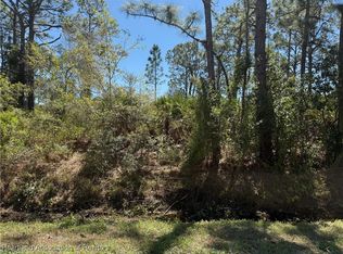 966 Challenger St NW, Lake Placid, FL 33852