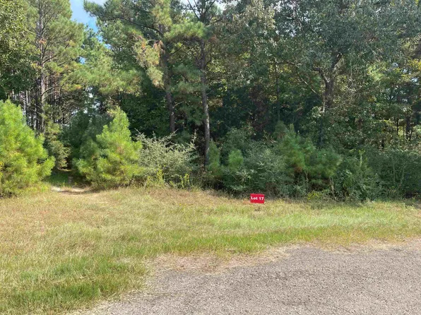 17 County Road 2204d & Dm #1797, Tatum, TX 75691