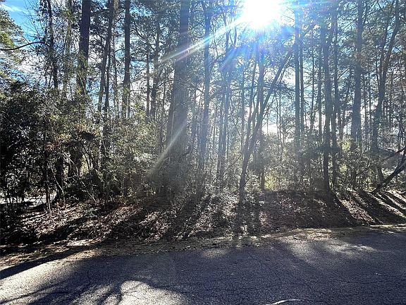 2nd image of 179 Green Tree Dr Lot 35