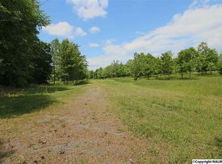 5687 Wyeth Mountain Rd, Guntersville, AL 35976