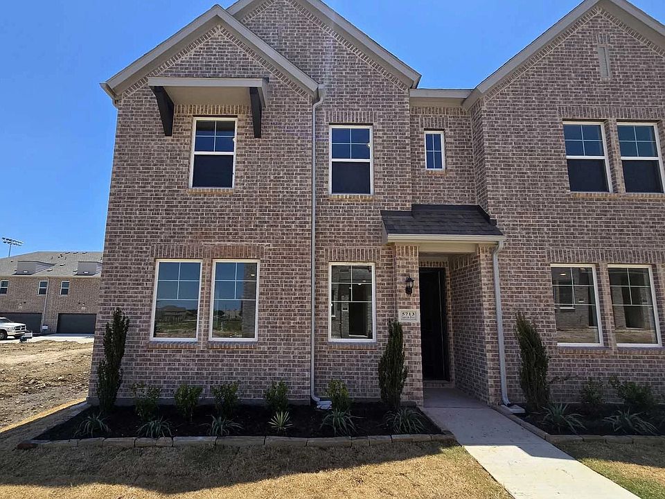 Exterior Design Construction Progress