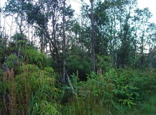 Ohialani Rd LOT 42, Volcano, HI 96785