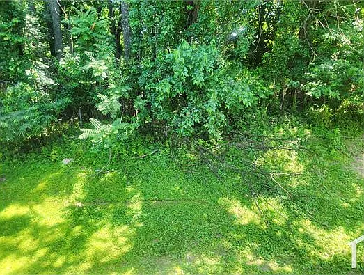 73 Shetland Cir — Photo 16