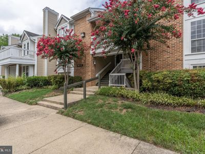 2821 S Wakefield St Unit B, Arlington, VA, 22206