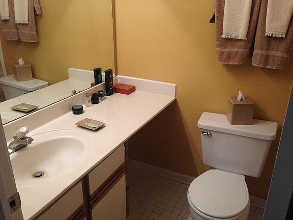 Master bathroom with tub