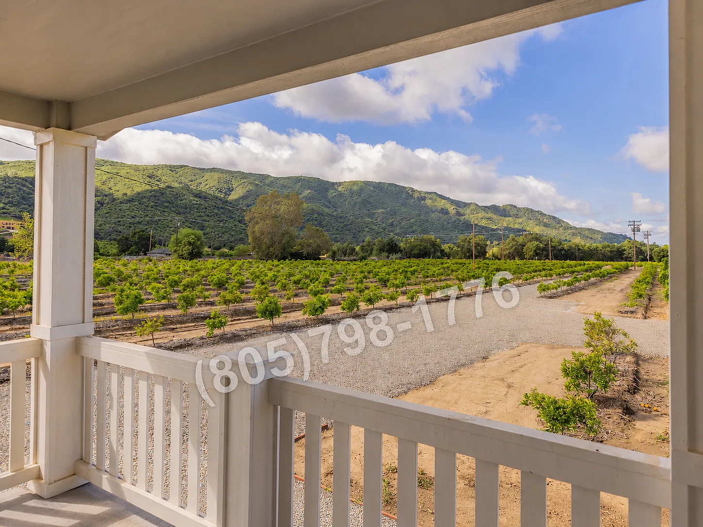3 bed, 1200 sqft, $4,200 — Photo 3